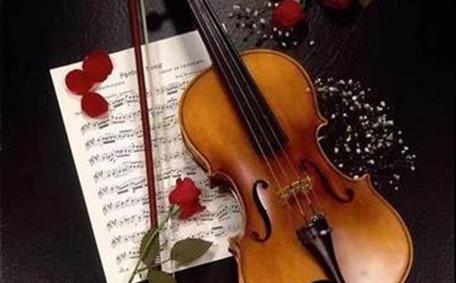 优美的小提琴